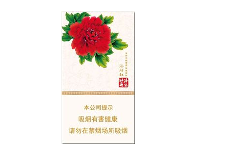 便宜五一香烟一手货源(香烟一手货源正品批发商)|